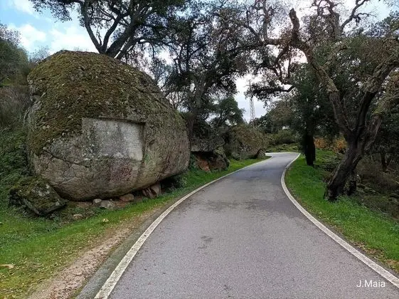 Ev, Birden Çok Yatak