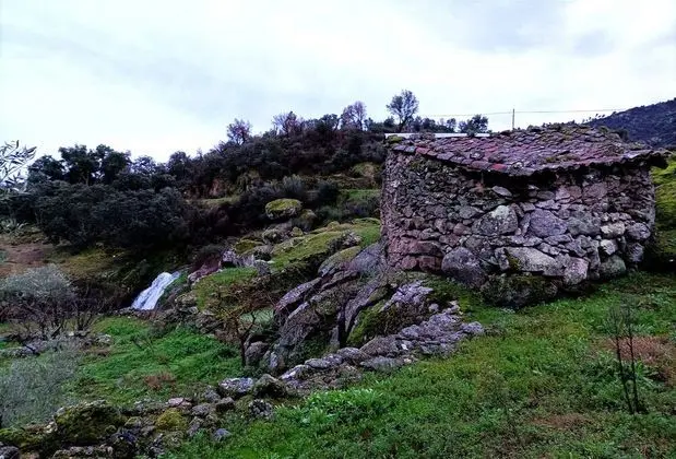 Ev, Birden Çok Yatak