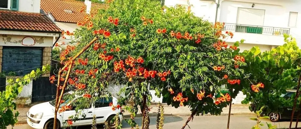 Ev, Birden Çok Yatak