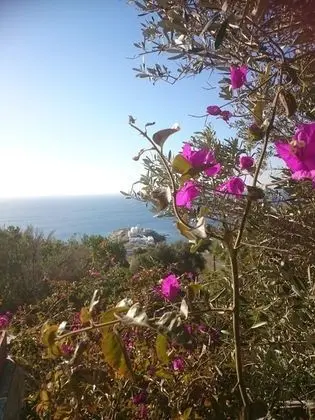 Kır Evi, Birden Çok Yatak