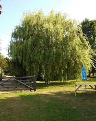 Ev, Birden Çok Yatak