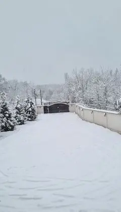 Kulübe, Birden Çok Yatak