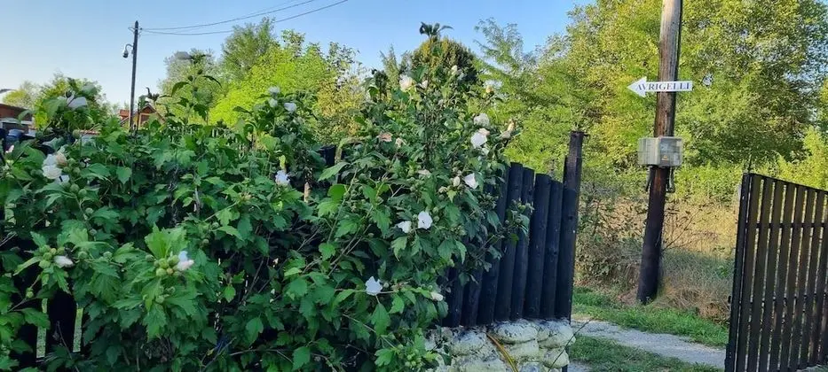 Kulübe, Birden Çok Yatak