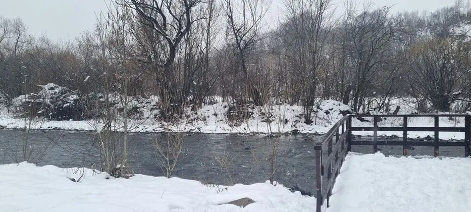 Kulübe, Birden Çok Yatak