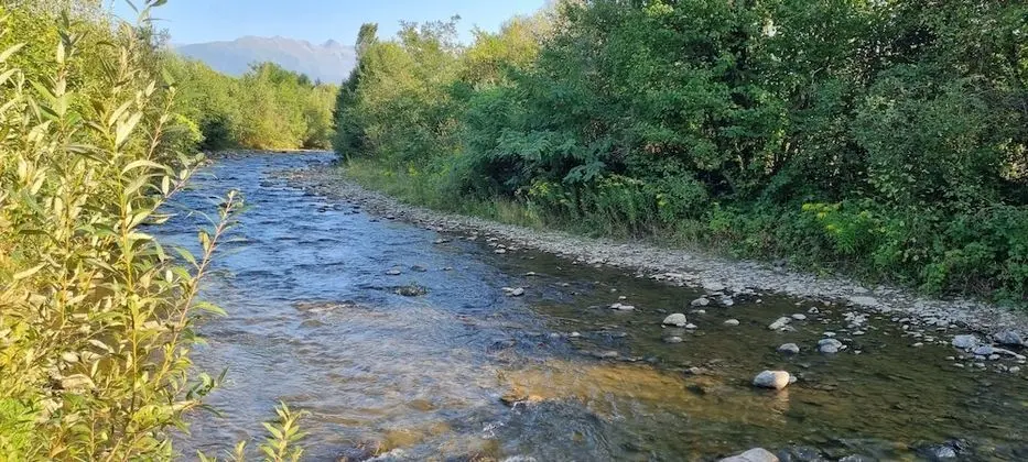 Kulübe, Birden Çok Yatak