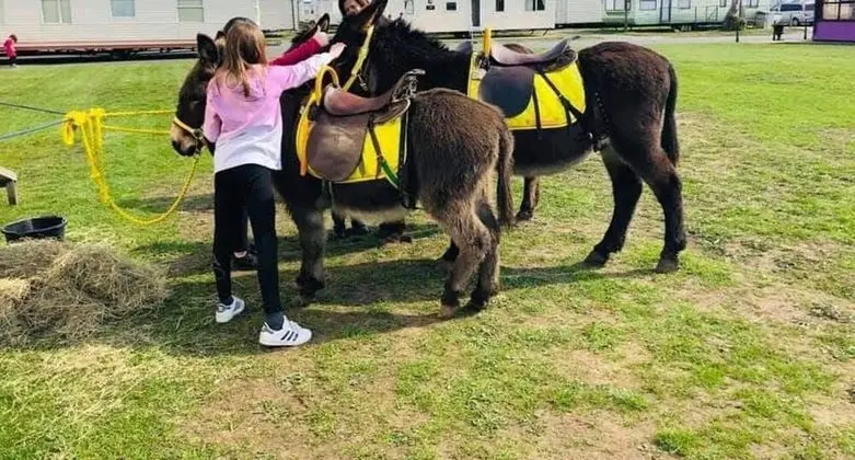 Kulübe, Birden Çok Yatak