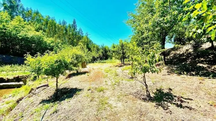 Villa, Sigara İçilebilir