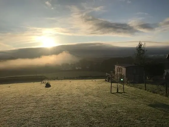 Kulübe