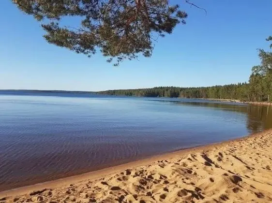 Kulübe, 1 Büyük (Queen) Boy Yatak ve Çekyat