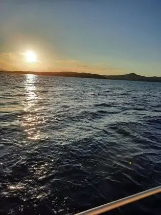 Apart Daire, Birden Çok Yatak