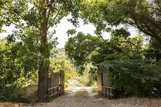 Kır Evi, 1 Büyük (Queen) Boy Yatak ve Çekyat