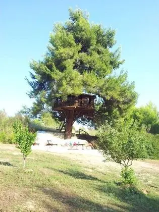 Kır Evi, 1 Büyük (Queen) Boy Yatak ve Çekyat
