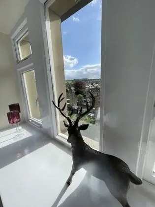 Kır Evi, Birden Çok Yatak