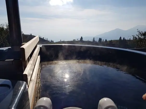 Dağ Evi, 1 Yatak Odası, Buzdolabı
