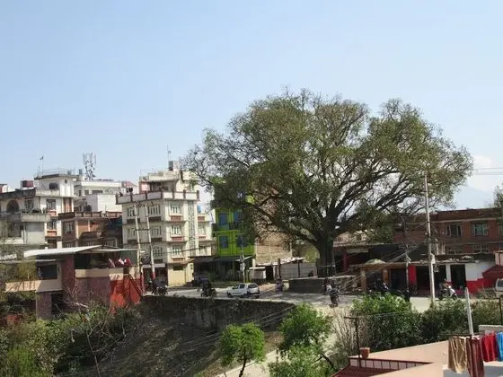 Basic İki Ayrı Yataklı Oda