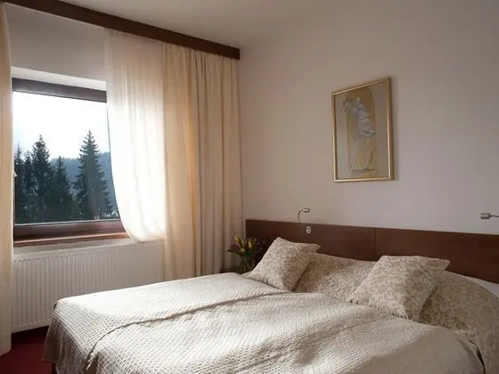 Standard Tek Büyük Yataklı Oda, Tepe Manzaralı