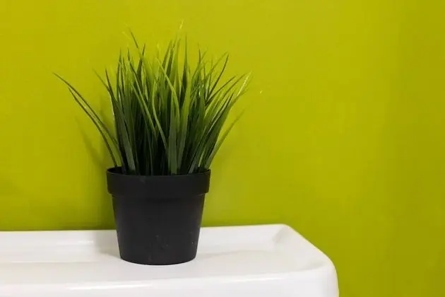 Basic Apart Daire, Birden Çok Yatak