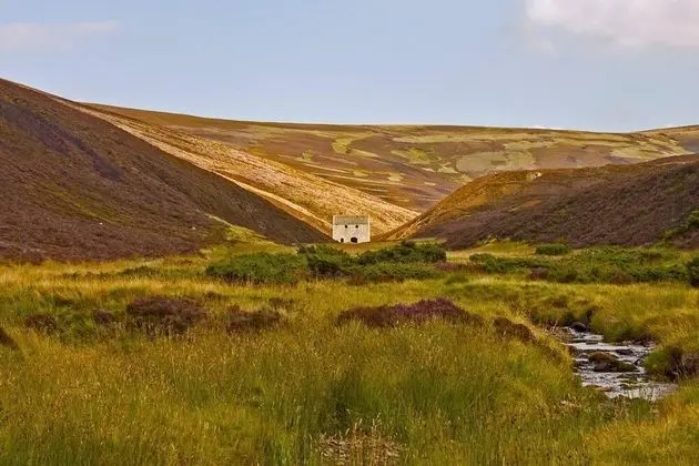 Kır Evi, Birden Çok Yatak