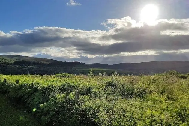 Kır Evi, Birden Çok Yatak