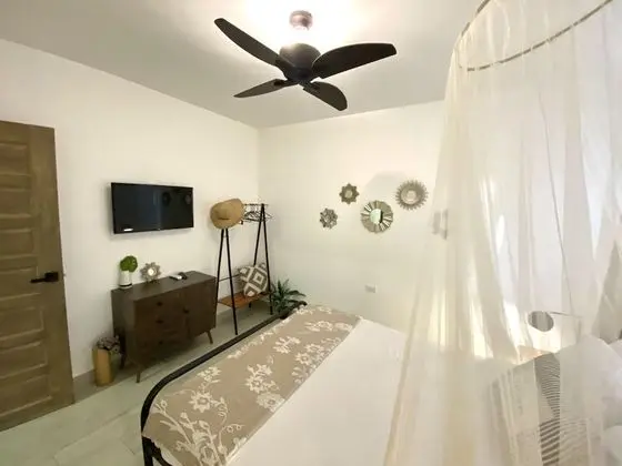 Premier Apart Daire, 1 Büyük (Queen) Boy Yatak ve Çekyat