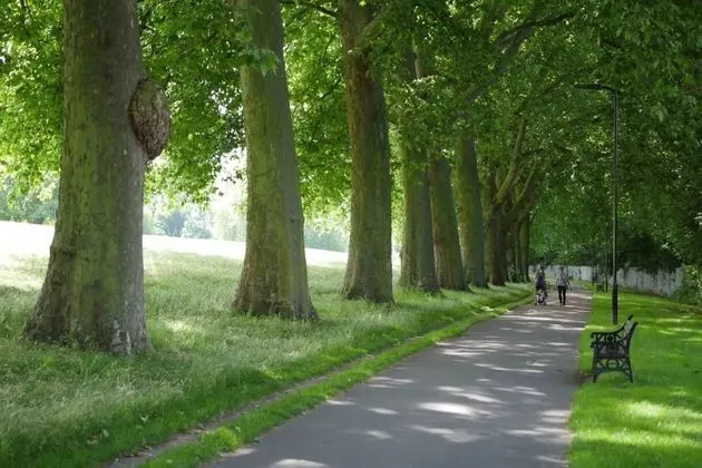 Apart Daire (1 Bedroom)