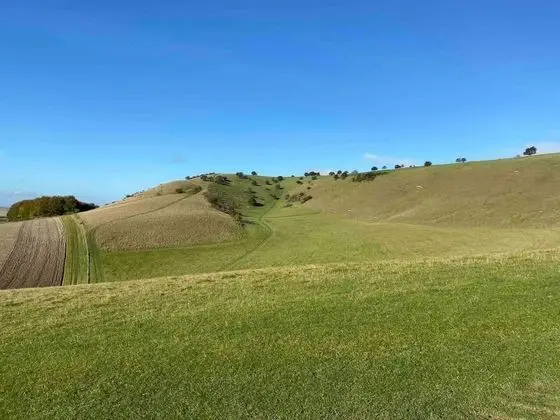 Apart Daire, 1 Büyük (Queen) Boy Yatak