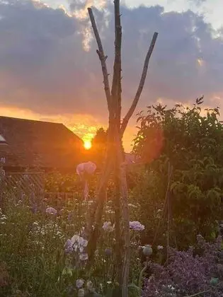 Apart Daire, 1 Büyük (Queen) Boy Yatak