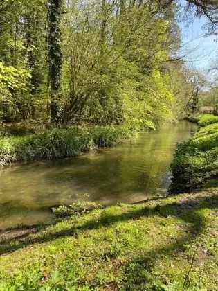 Apart Daire, 1 Büyük (Queen) Boy Yatak