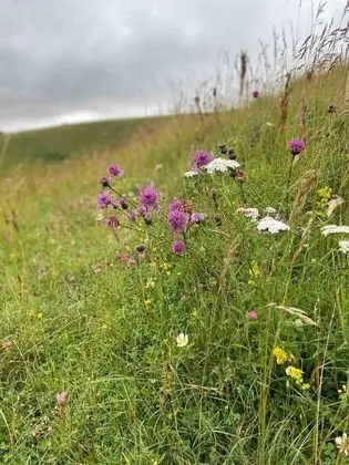 Apart Daire, 1 Büyük (Queen) Boy Yatak