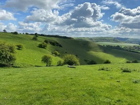 Apart Daire, 1 Büyük (Queen) Boy Yatak