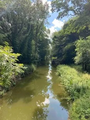 Apart Daire, 1 Büyük (Queen) Boy Yatak