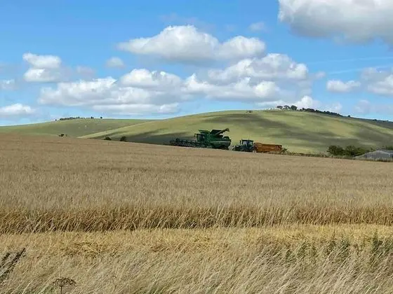 Apart Daire, 1 Büyük (Queen) Boy Yatak