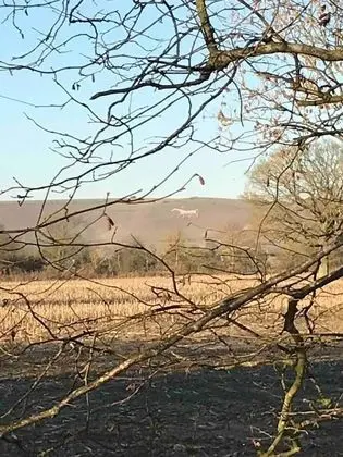 Apart Daire, 1 Büyük (Queen) Boy Yatak