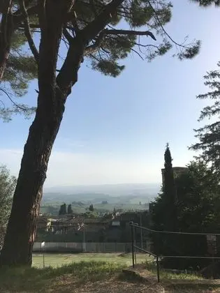 Apart Daire, 1 En Büyük (King) Boy Yatak ve Çekyat