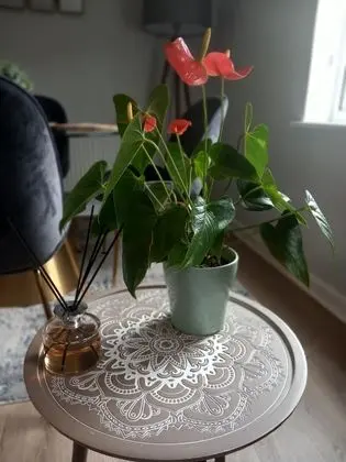 Apart Daire, 1 Büyük (Queen) Boy Yatak