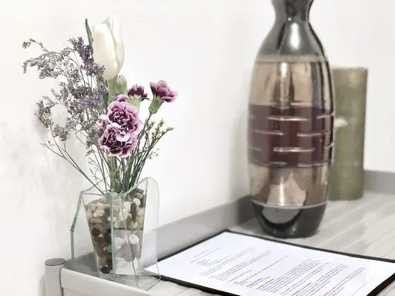 City Apart Daire, 1 Çift Kişilik Yatak ve Çekyat, Banyolu/Duşlu, Şehir Manzaralı