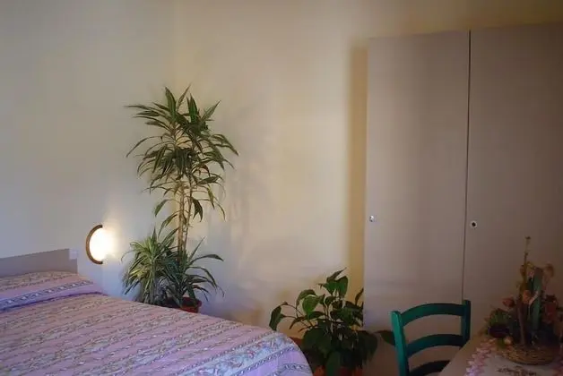 Basic Tek Büyük Yataklı Oda, Sigara İçilebilir, Bahçe Manzaralı