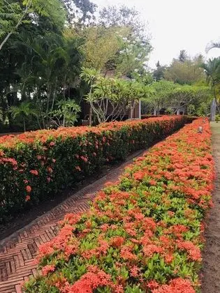 Bungalov, 2 Yatak Odası
