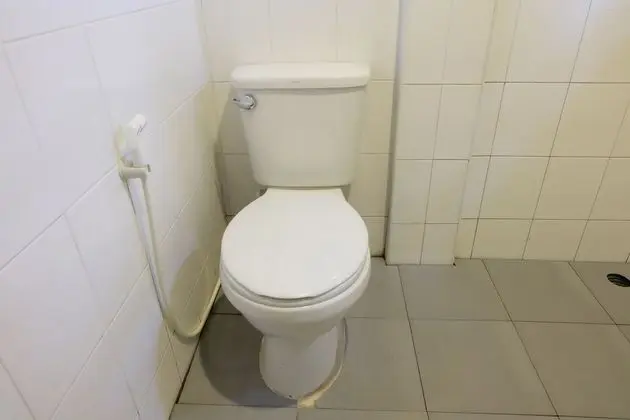 Standard Oda
