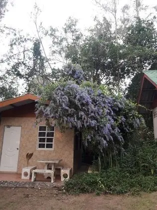 Standard Bungalov