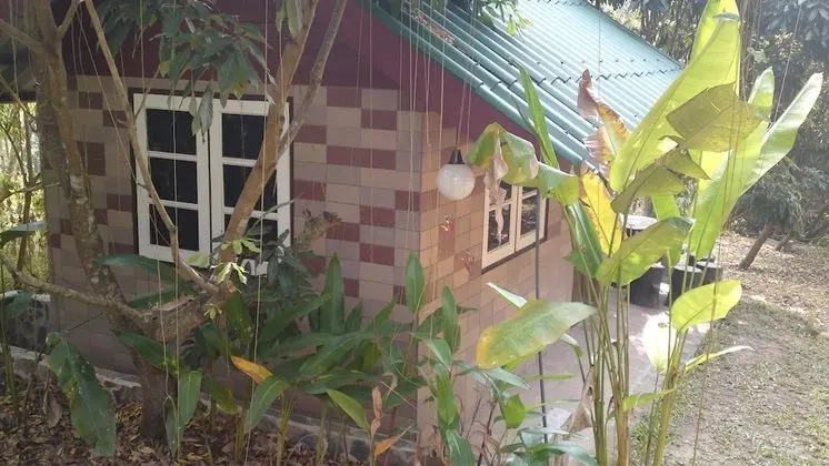 Standard Bungalov