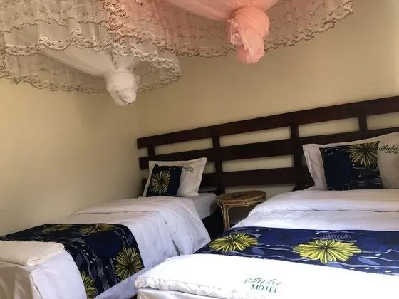 Deluxe İki Ayrı Yataklı Oda, Engellilere Uygun