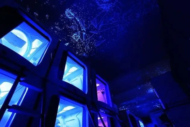 One Front Capsule in Shared Area