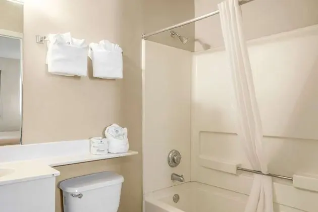 Oda, 1 Büyük (Queen) Boy Yatak, Engellilere Uygun, Sigara İçilmez (Efficiency, Accessible Tub)