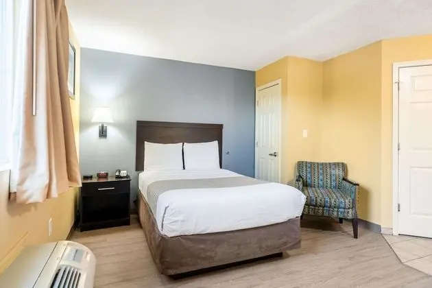 Oda, 1 Büyük (Queen) Boy Yatak, Sigara İçilmez (Efficiency, Pet Friendly)