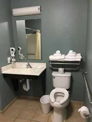 Oda, 1 Büyük (Queen) Boy Yatak, Sigara İçilmez (Efficiency, Pet Friendly)