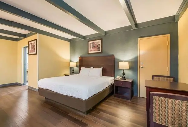 Oda, 2 Büyük (Queen) Boy Yatak, Sigara İçilmez (Efficiency, Pet Friendly)