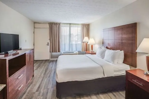 Standard Oda, 1 Büyük (Queen) Boy Yatak, Sigara İçilmez (Pet Friendly)