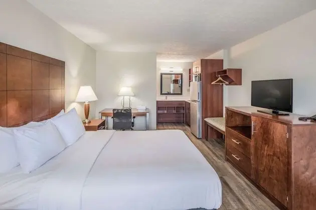 Standard Oda, 1 Büyük (Queen) Boy Yatak, Sigara İçilmez (Pet Friendly)