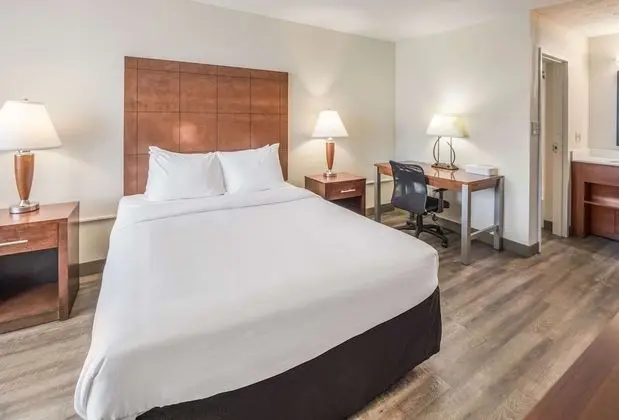 Standard Oda, 1 Büyük (Queen) Boy Yatak, Sigara İçilmez (Pet Friendly)